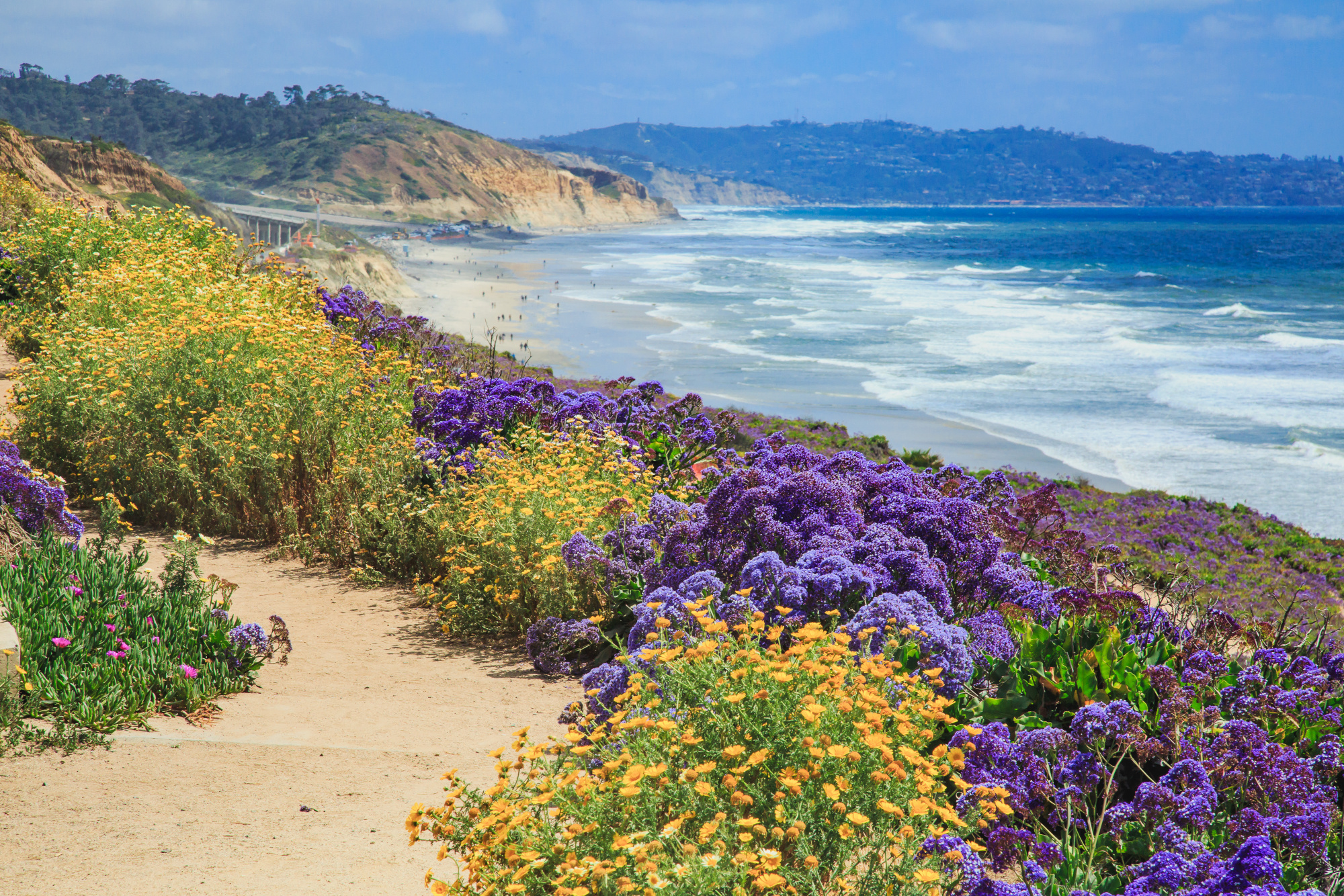 Del Mar, California, is a jewel of the San Diego area